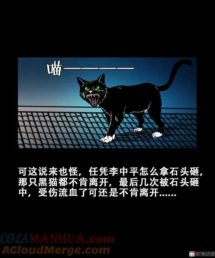 三老爷诡事会老烟鬼片段漫画,黑猫1图