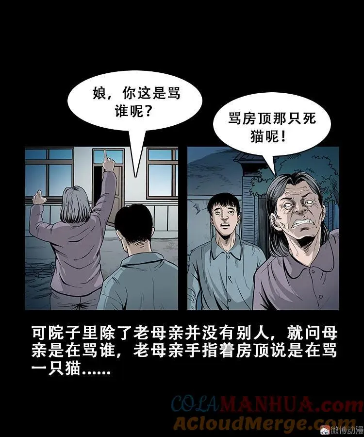 三老爷诡事会老烟鬼片段漫画,黑猫1图