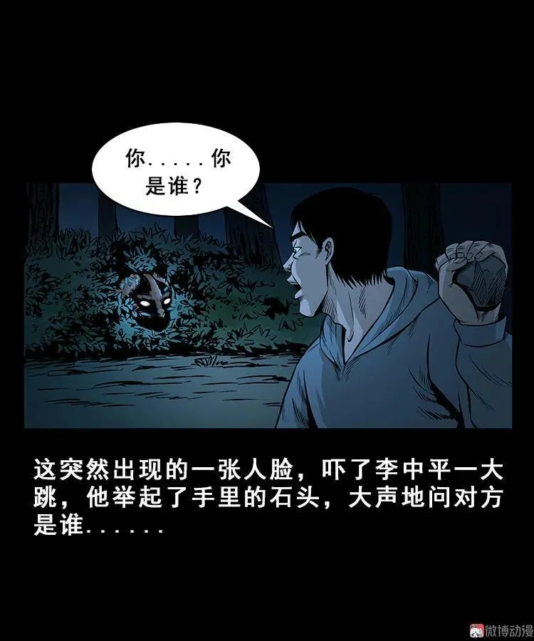 三老爷诡事会肖飞漫画,人面獾2图