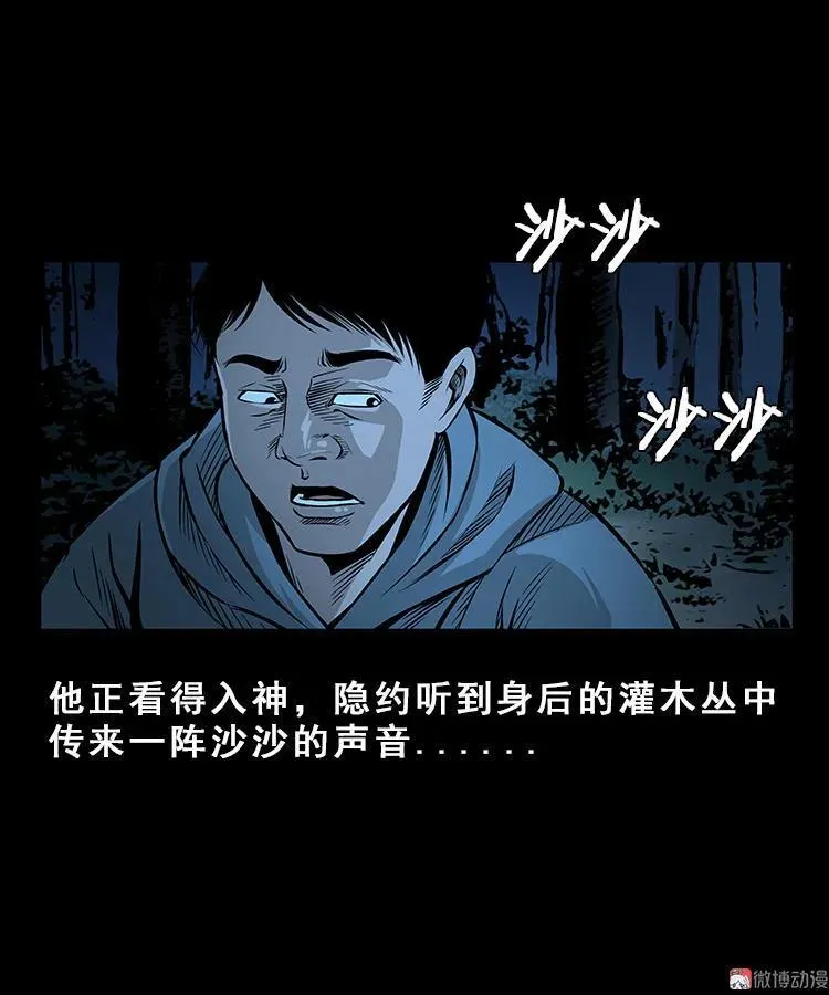 三老爷诡事会肖飞漫画,人面獾2图