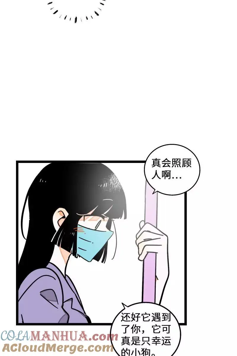 周一至周末漫画,第70话 幸运的小狗1图
