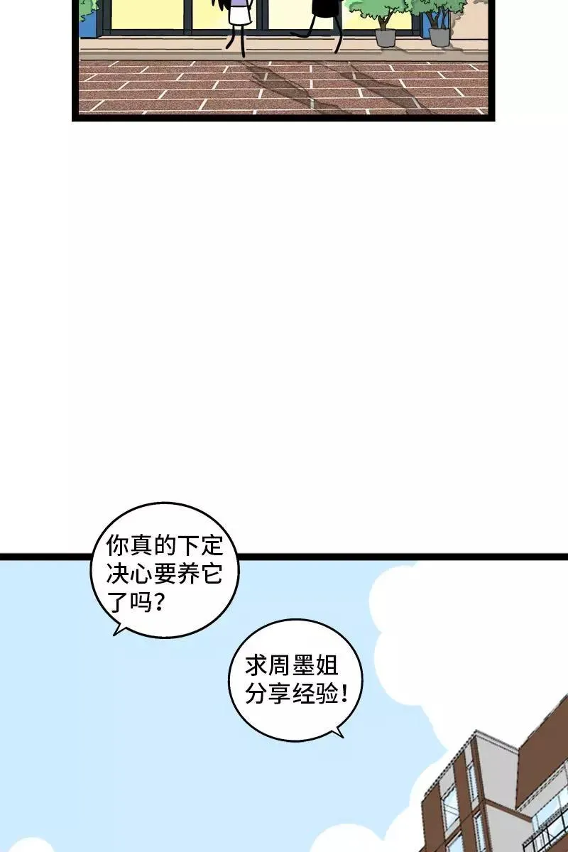 周一至周末漫画,第70话 幸运的小狗1图