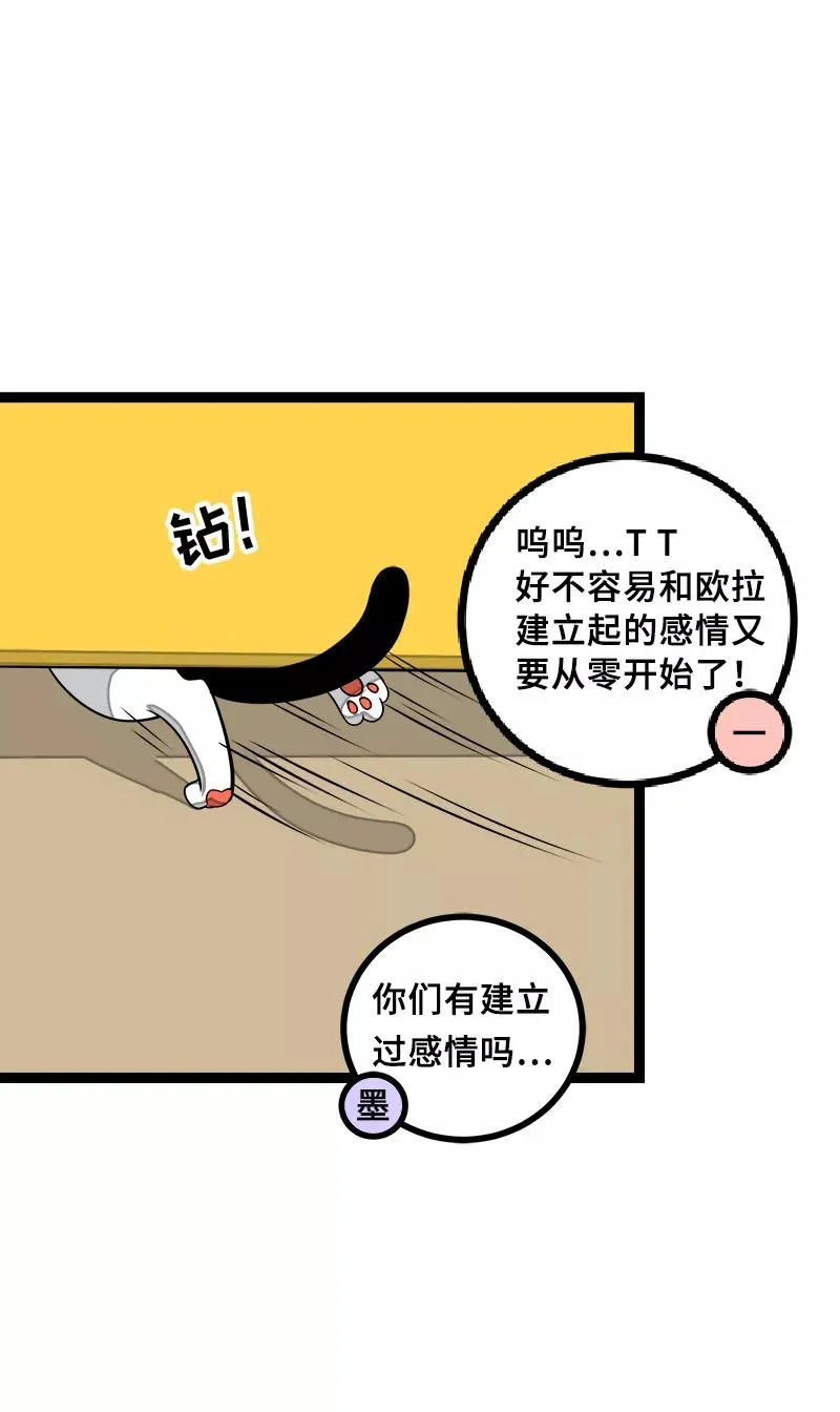周一至周末漫画,第44话 感情白痴1图