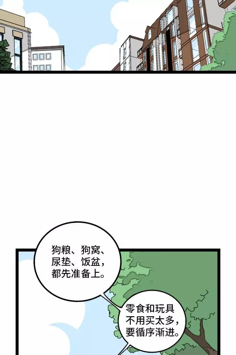 周一至周末漫画,第70话 幸运的小狗2图