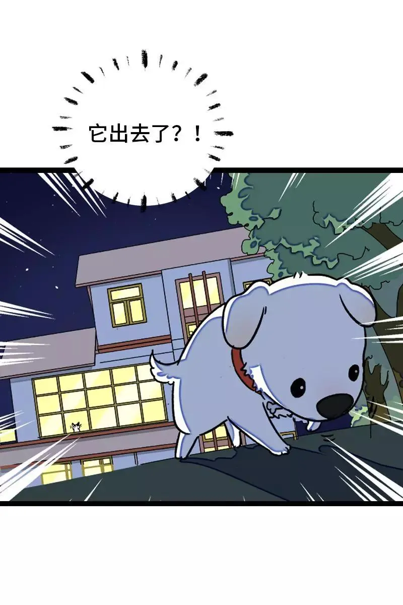 周一至周末漫画,第77话 小鱼干之神2图