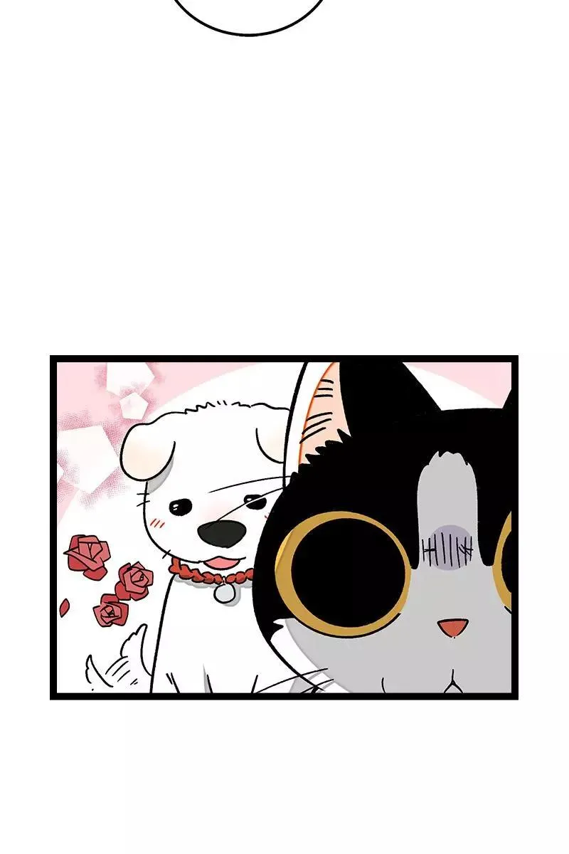 周一至周末漫画,第73话 家的感觉1图