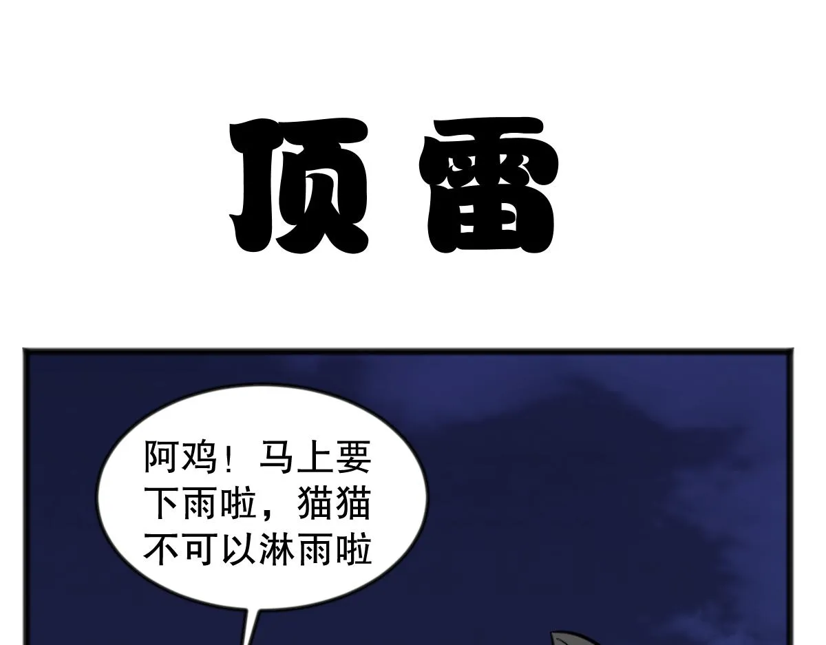 五脊六兽的日常漫画,猫仔2图