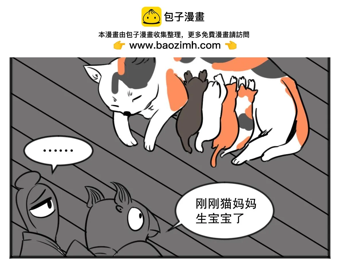 五脊六兽的日常漫画,猫仔1图