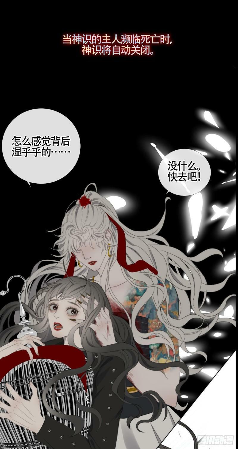 新手养龙指南漫画,第24话 白懿遇害1图