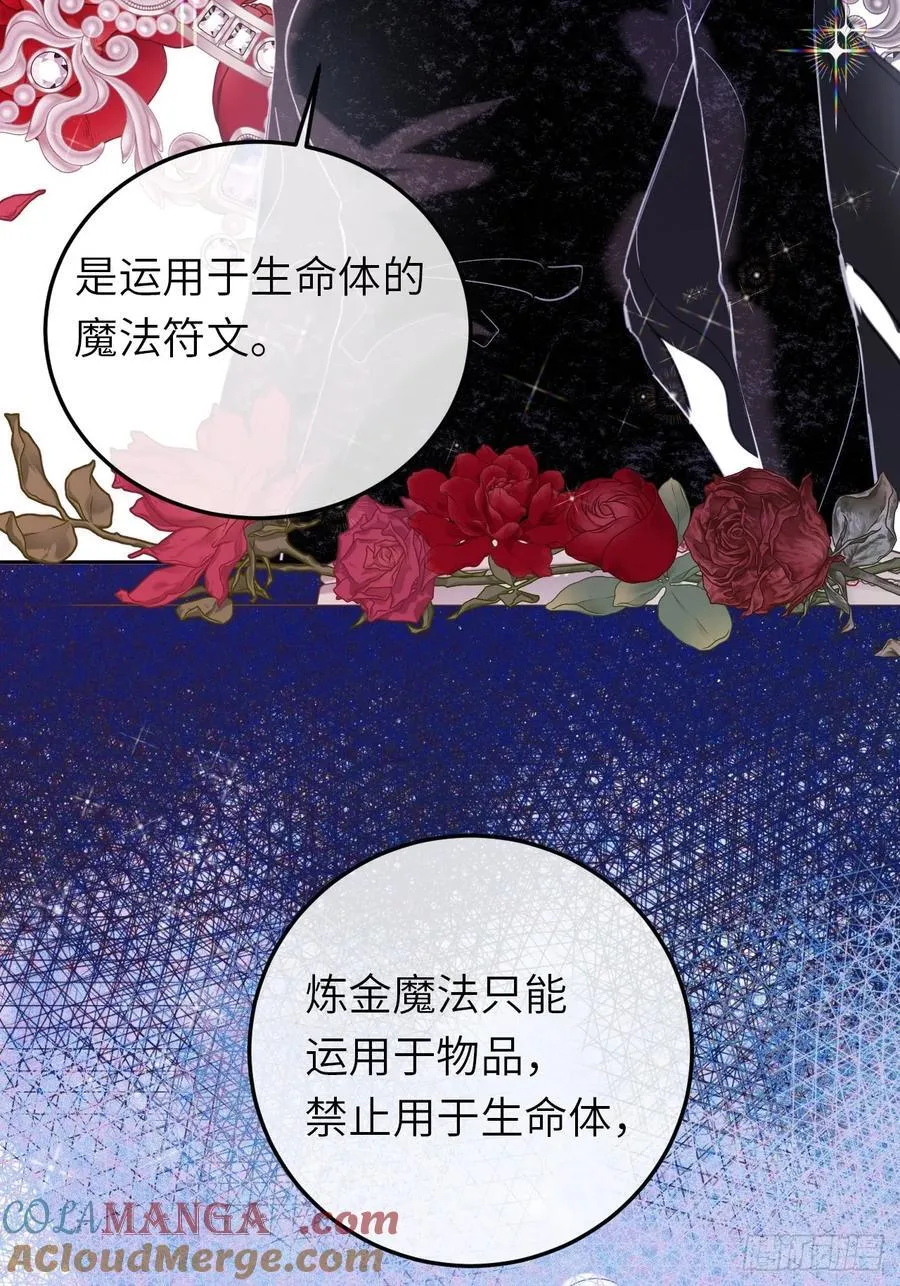 黑化魔女只好成为反派了漫画,17-禁术与入学资格1图