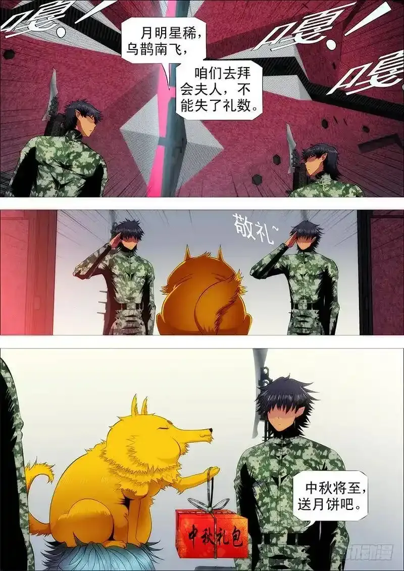 铁姬钢兵动漫第二季免费星空影院在线看漫画,血翼渡星河2图