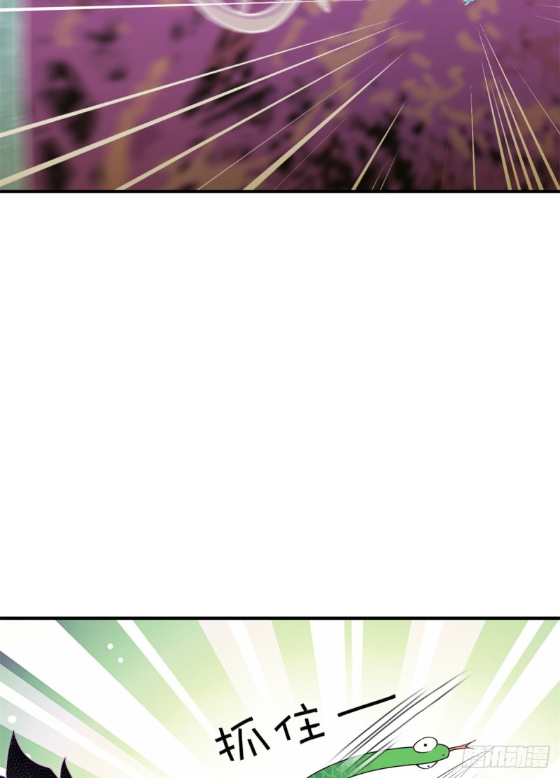 神宠进化18漫画,048 他在找……什么？2图