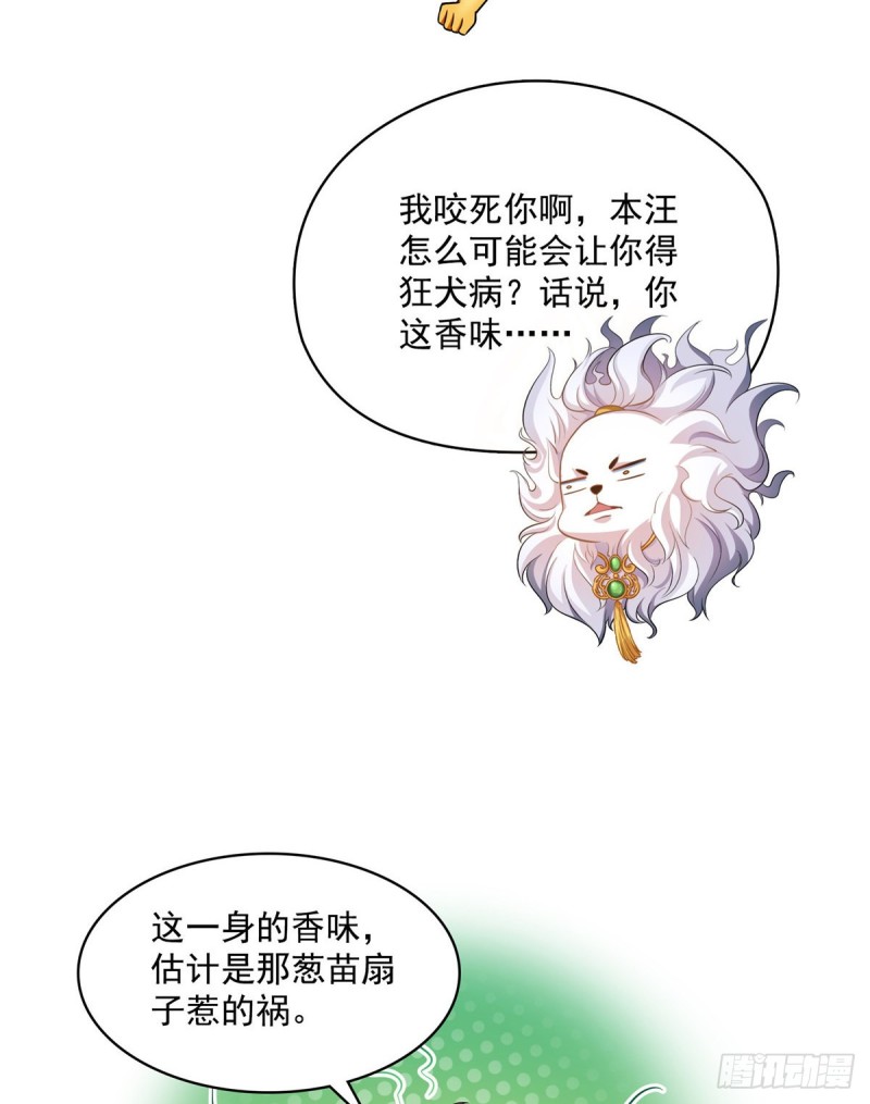 修真聊天群免费阅读笔趣阁漫画,第365话 上上上上签1图