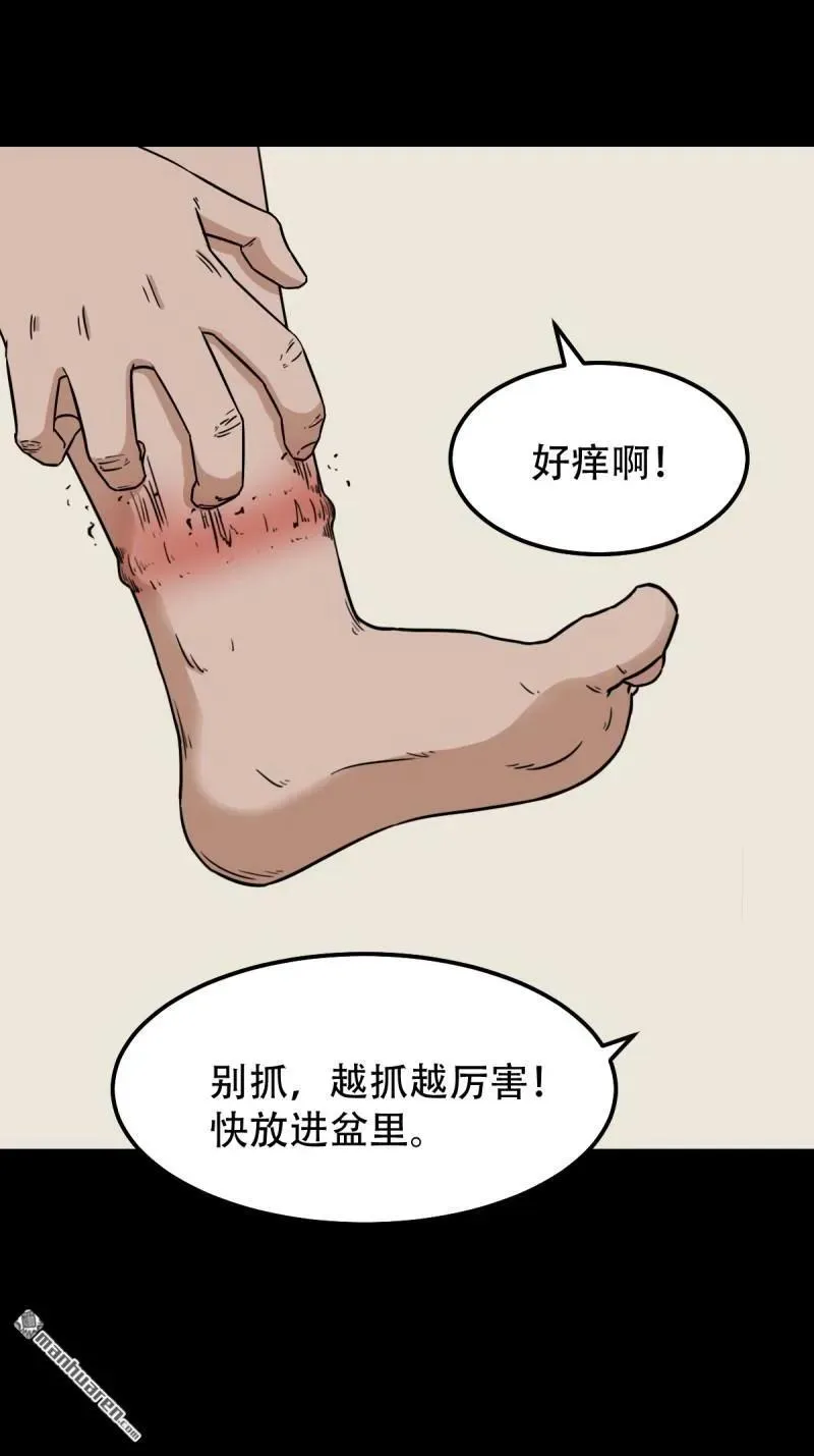 斗厌神漫画免费下拉式观看最新漫画,第265回 小金童1图