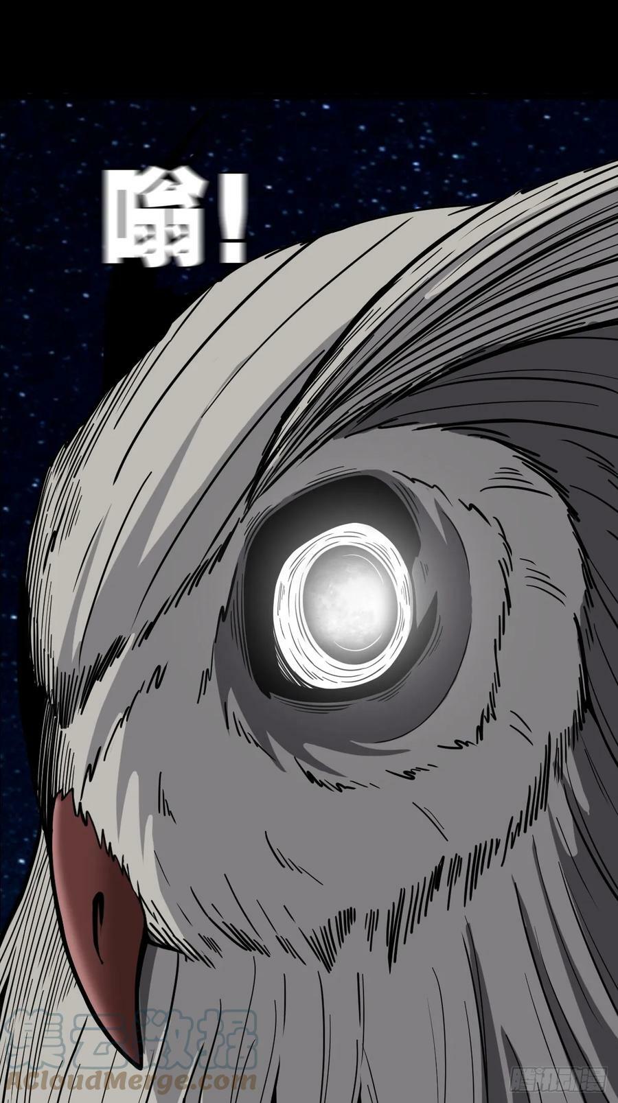 斗厌神漫画免费下拉式观看最新漫画,鼠王娶亲·中1图