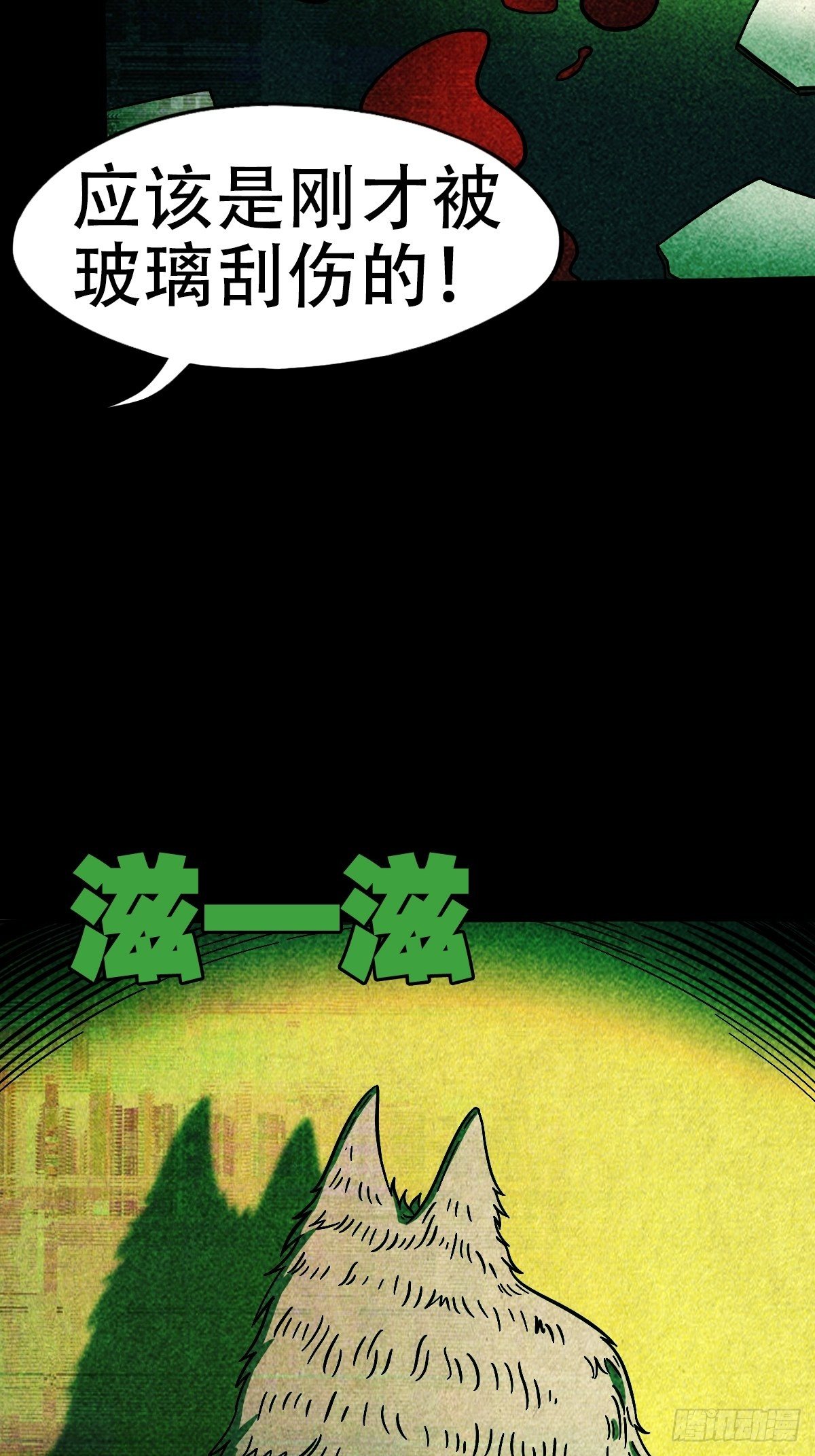 斗厌神漫画免费下拉式观看最新漫画,埋猫狗（下）1图