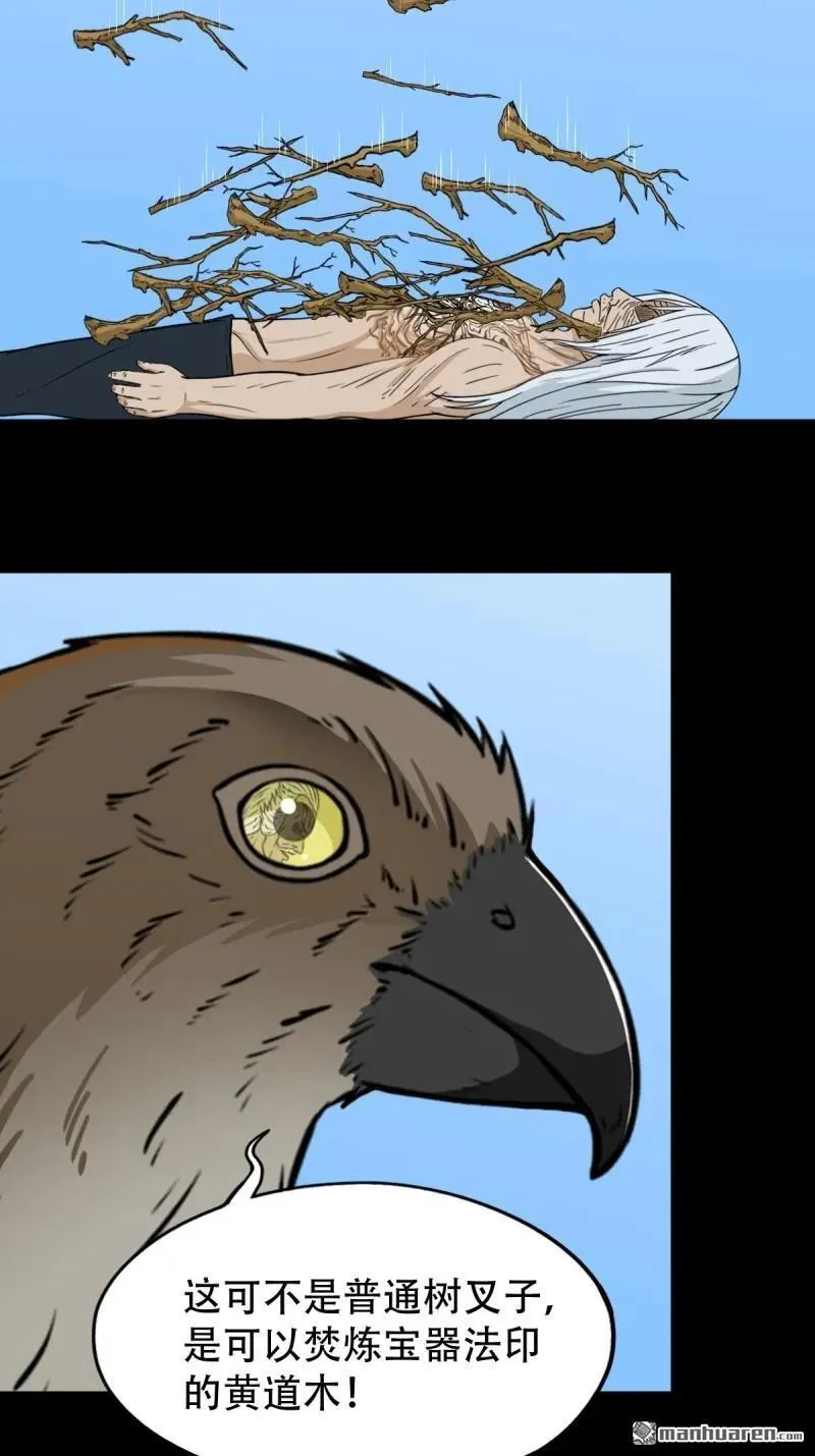 斗厌神漫画免费下拉式观看最新漫画,第261回 燃面2图