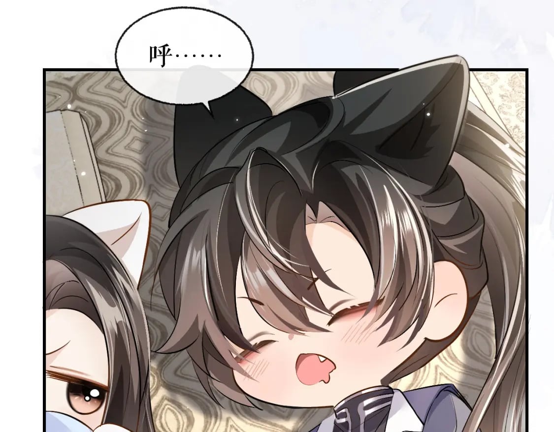 二哈和他的白猫师尊漫画免费观看完整版漫画,第39话 师尊的自白2图