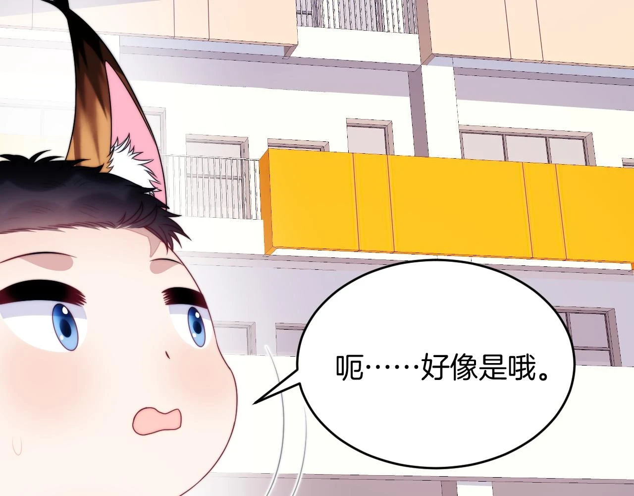 学霸的小野猫太撩人漫画,第71话 别离开我的视线2图