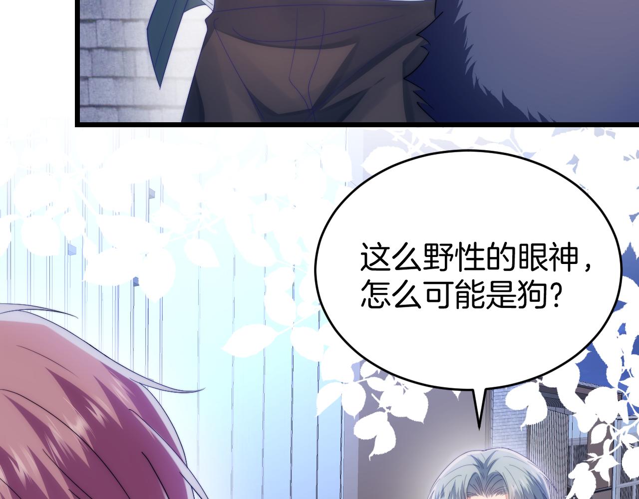 学霸的小野猫太撩人81集漫画,第34话 心机谢故2图
