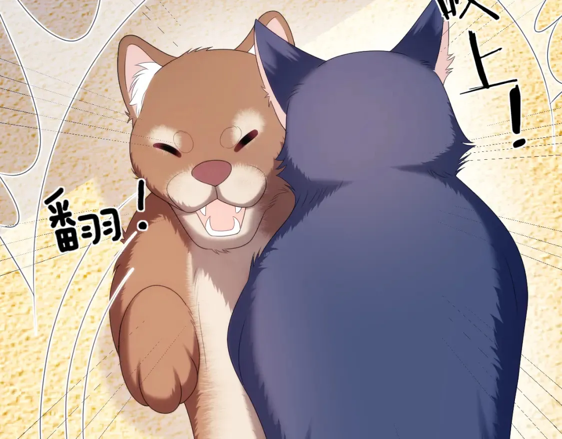 学霸的小野猫太撩人漫画,第50话 他真会耍帅2图