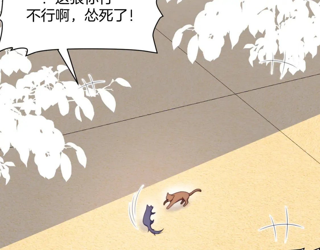 学霸的小野猫太撩人漫画,第50话 他真会耍帅2图