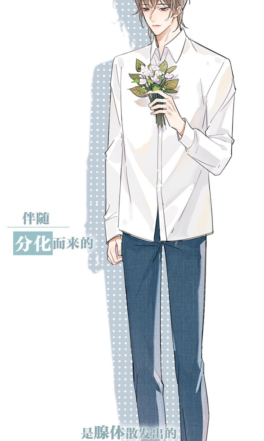 溺酒小说讲了什么漫画,序章 Omega穿越到正常社会 ，竟因自己释放的信息素醉倒在街头。2图