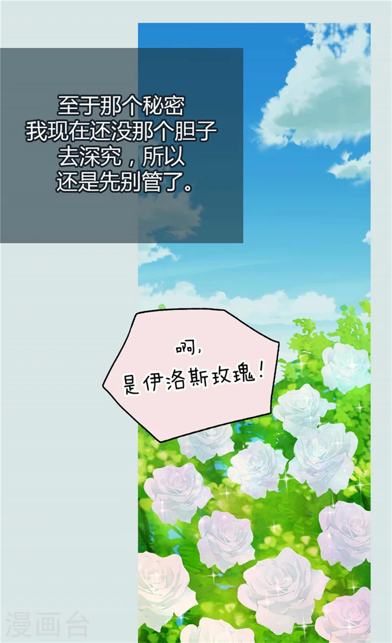 皇帝的独生女漫画,第100话 跟阿西西的正式会面2图