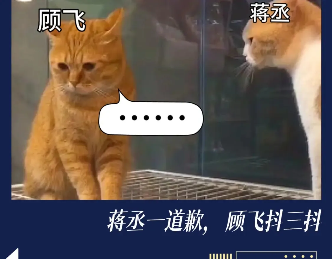 撒野小说全文免费阅读笔趣阁漫画,第8期 搞点事：兔飞飞的家庭弟位是这样的！1图