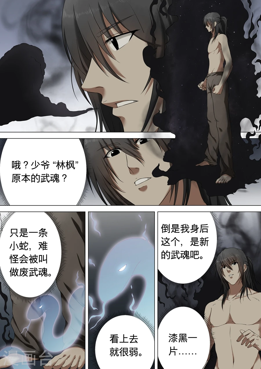 绝世武神小说净无痕漫画,第1话2 觉醒的武魂2图