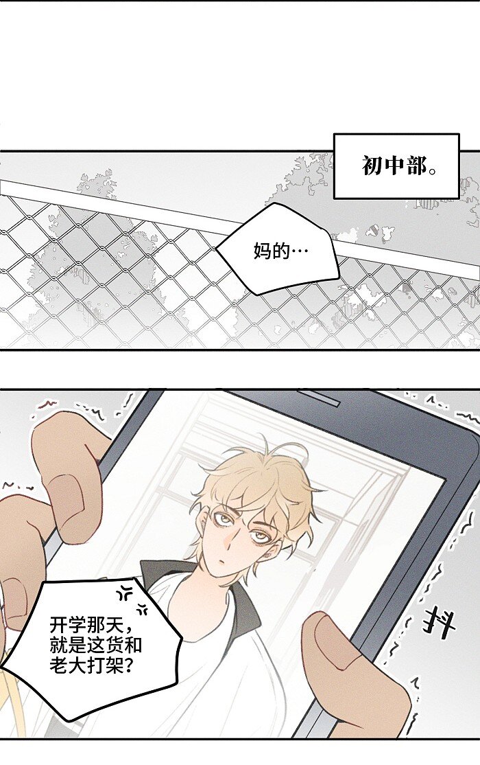 盐友by京见全文免费阅读未删减漫画,11 情书2图