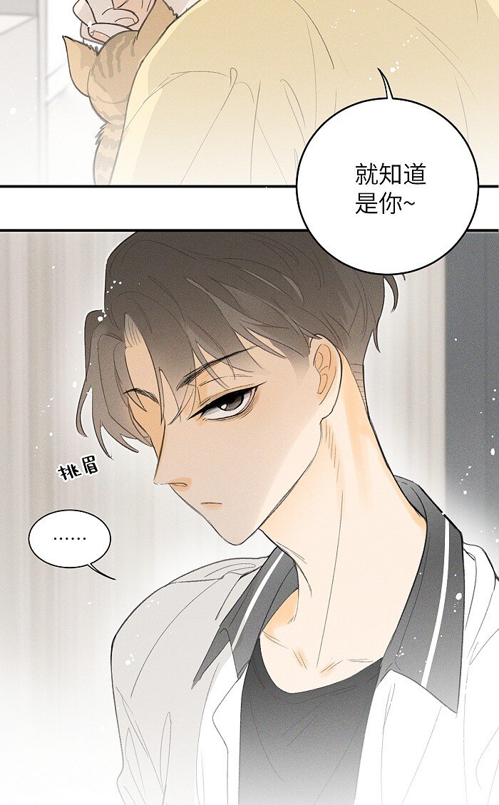 盐友by京见全文免费阅读未删减漫画,24 领养1图