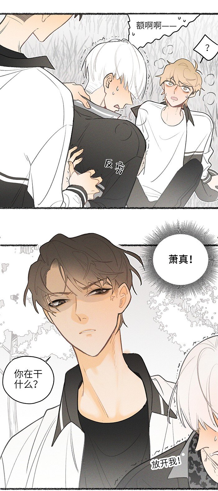 盐友小说免费阅读萧真全文漫画,12 你们是兄弟？！1图