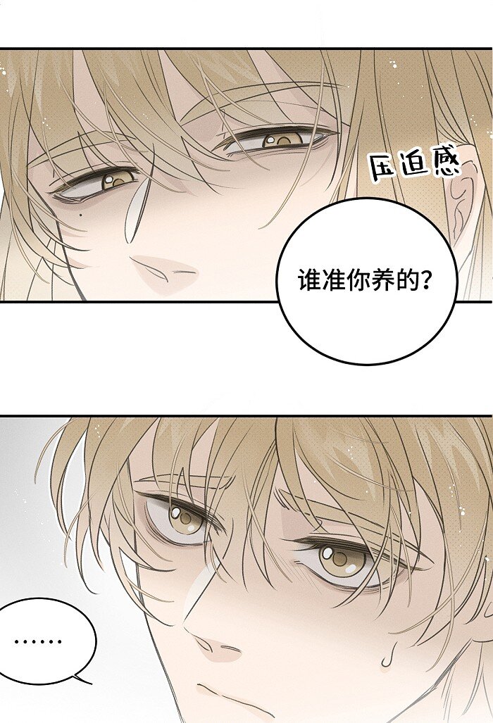 盐友by京见全文免费阅读未删减漫画,56 谁是萧真？1图