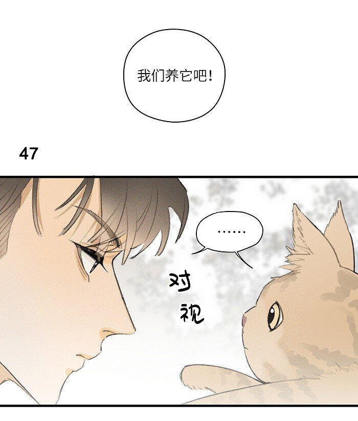 盐友by京见全文免费阅读未删减漫画,22 养猫1图