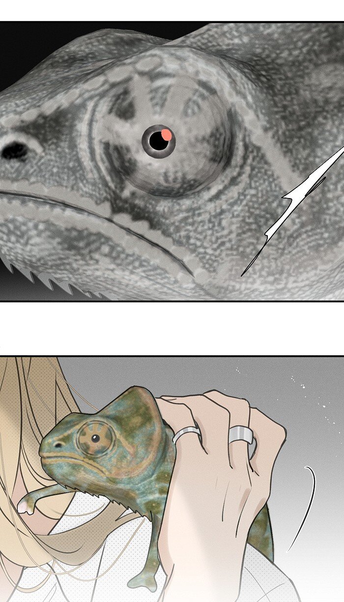 盐友by京见全文免费阅读未删减漫画,55 裴心1图