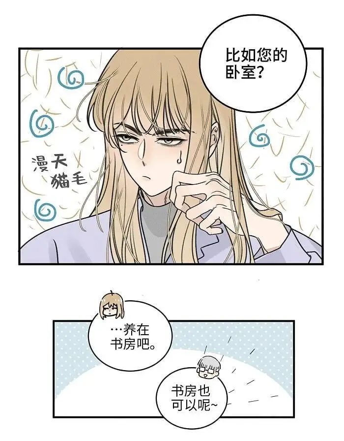 盐友by京见全文免费阅读未删减漫画,番外 裴心养猫记2图