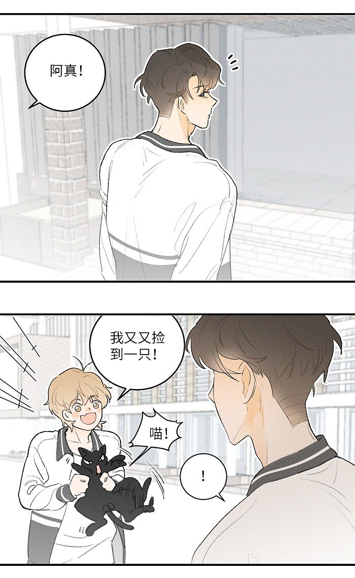 盐友小说免费阅读萧真全文漫画,24 领养1图