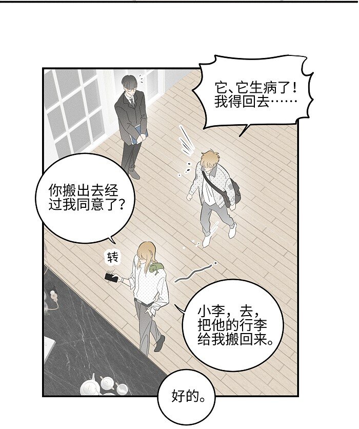 盐友by京见全文免费阅读未删减漫画,56 谁是萧真？2图