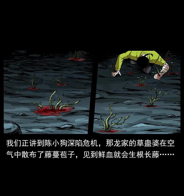 幽冥诡匠漫画,193 草蛊婆2图
