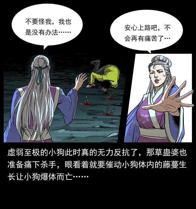 幽冥诡匠漫画,193 草蛊婆2图
