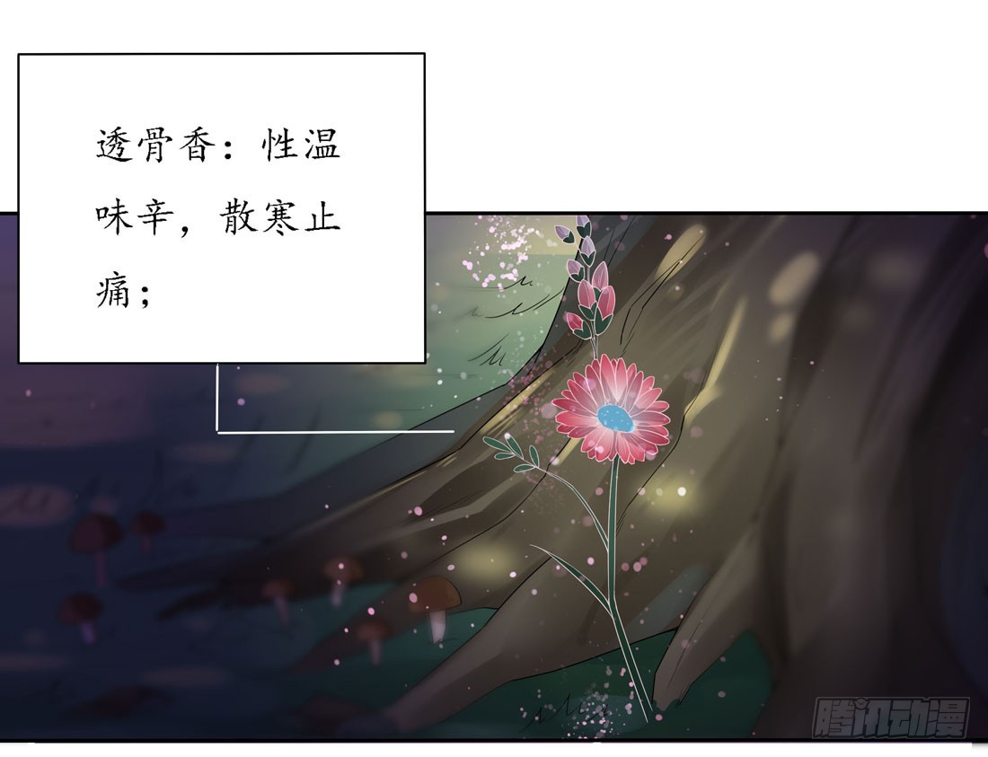至尊瞳术师绝世大小姐男主叫什么漫画,第八话 到底为什么追我？2图