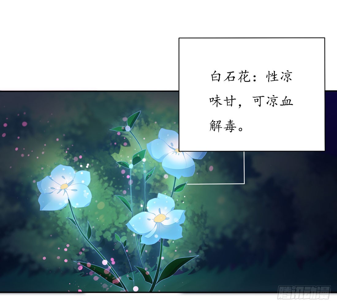 至尊瞳术师绝世大小姐男主叫什么漫画,第八话 到底为什么追我？1图