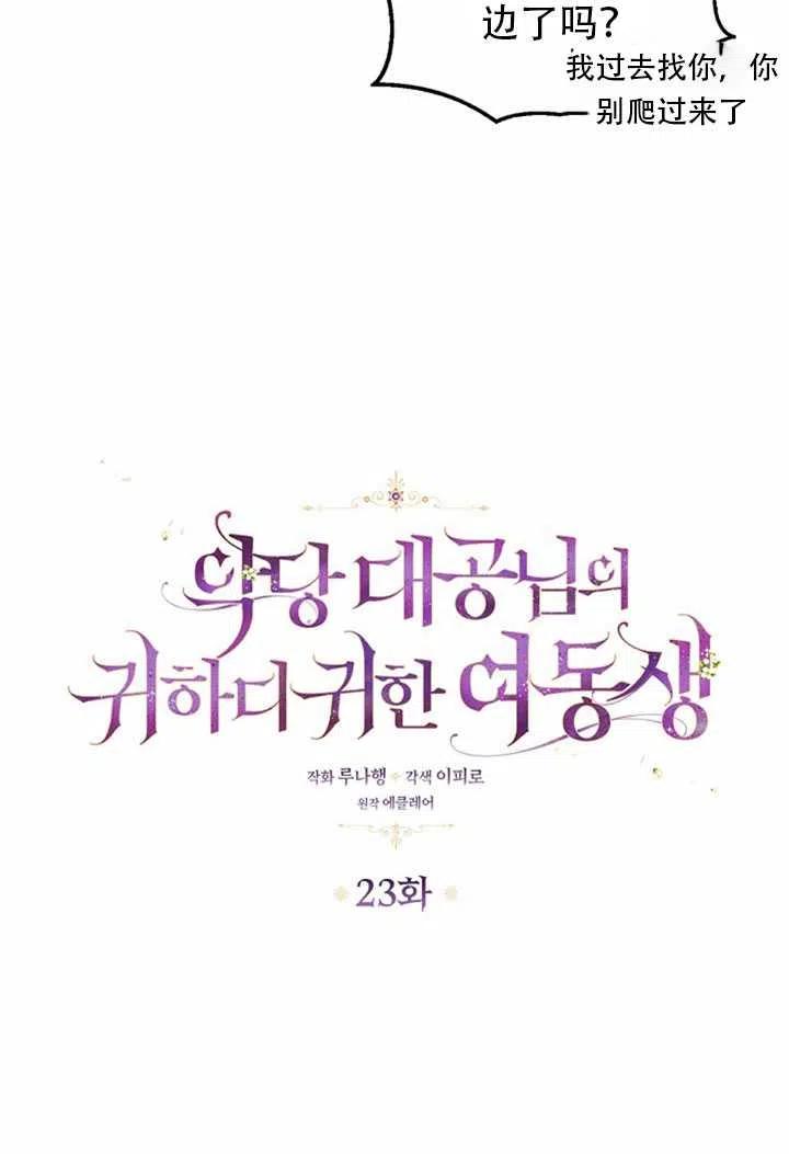 恶棍公爵的宝贝妹妹漫画,第23话1图