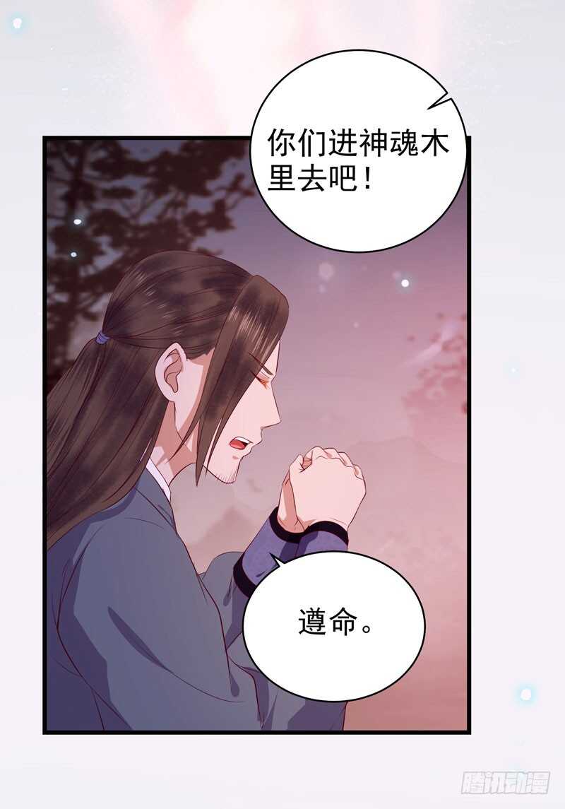 鬼医凤九漫画,神魂木2图