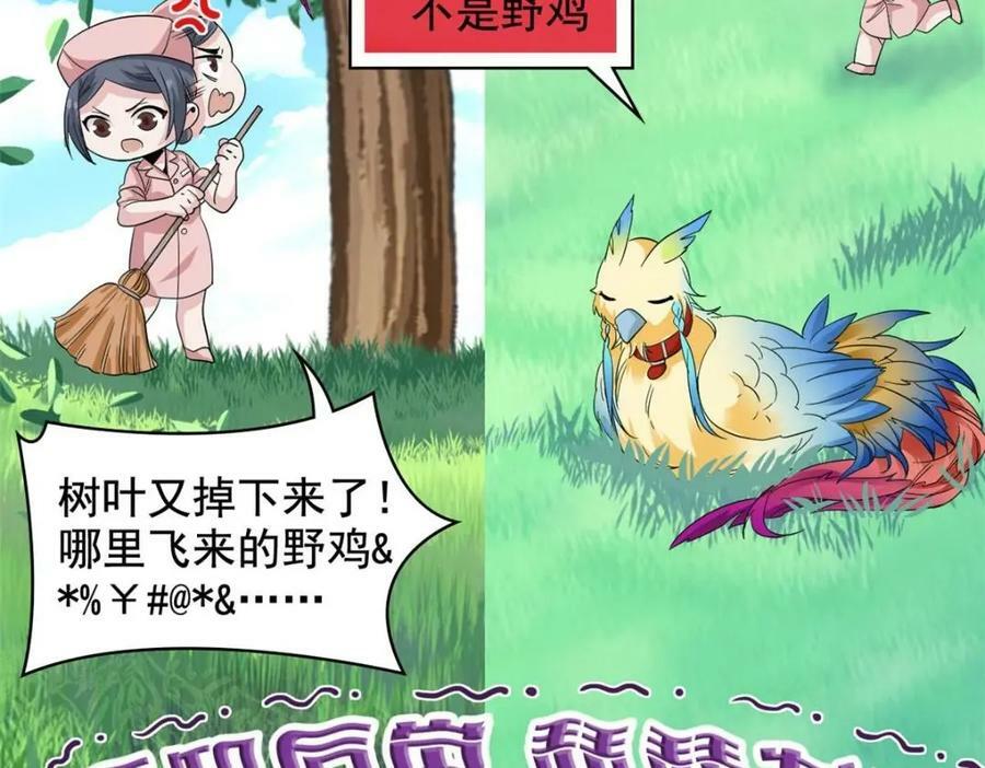 从精神病院走出的强者动漫400集漫画,180 不是野鸡，就是故意1图