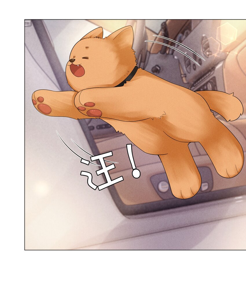 总裁的百万剧本漫画,047 黑道太子爷2图