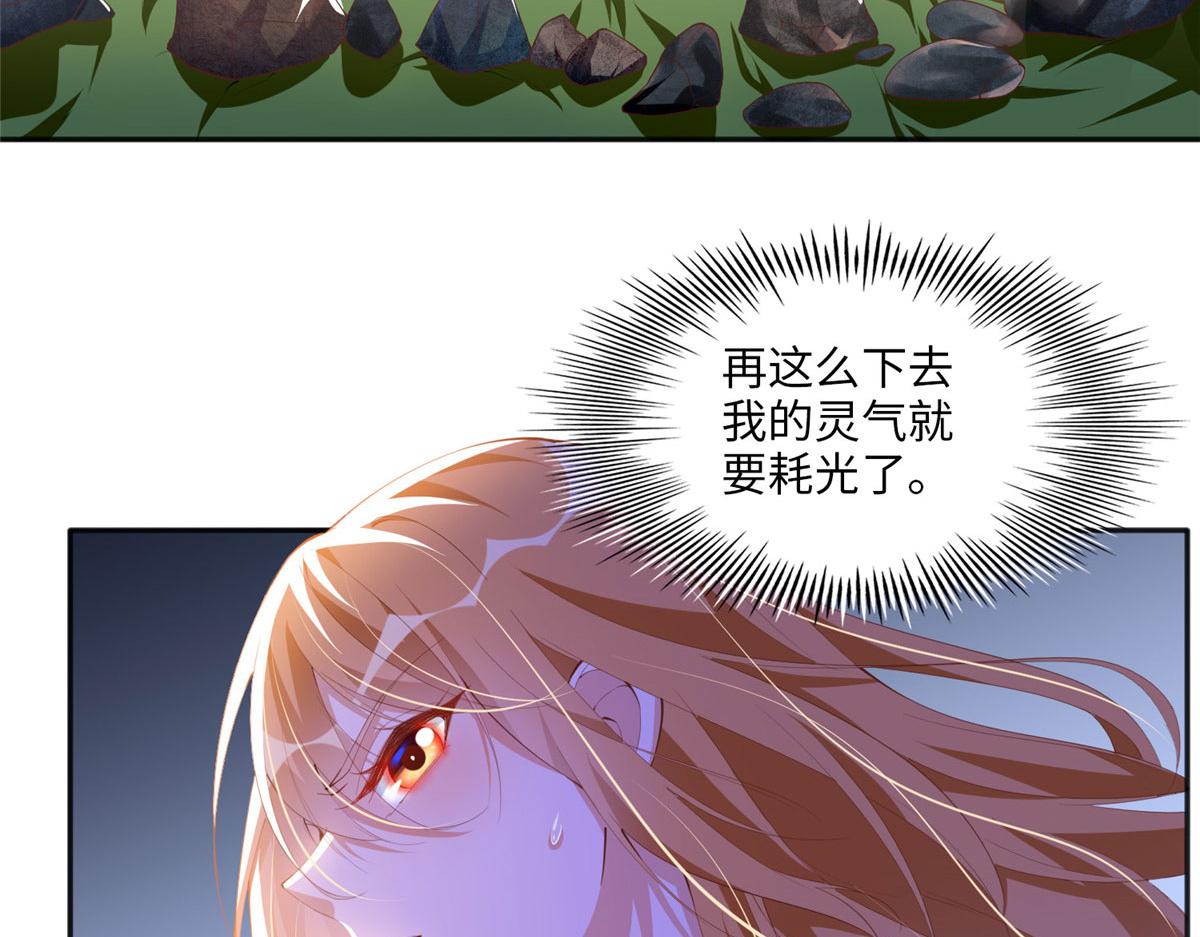 豪门BOSS竟是女高中生！漫画,019 赌石大会来了！2图