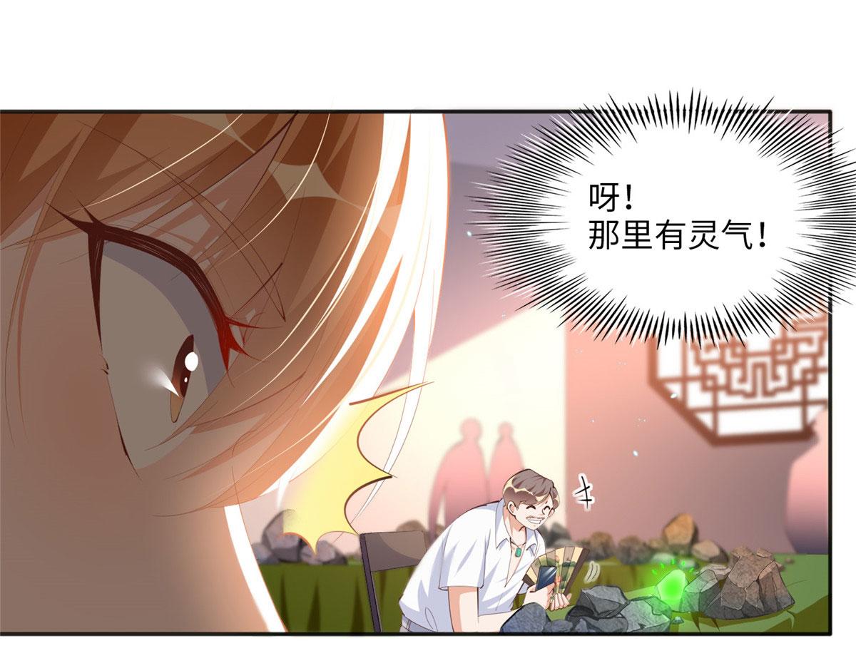豪门BOSS竟是女高中生！漫画,019 赌石大会来了！1图