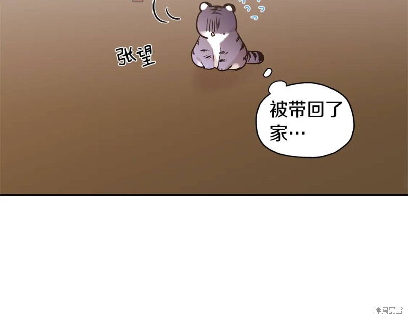 恋爱限制区域漫画,番外81图